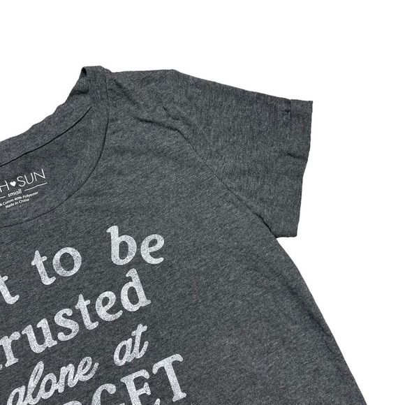 Fifth Sun “Not to be Trusted alone at Target” Gray Tee Shirt S - Picture 3 of 7